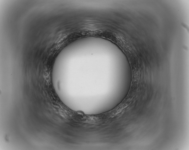 X0000096981109200802221427