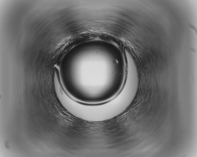 X0000096981110200802221427