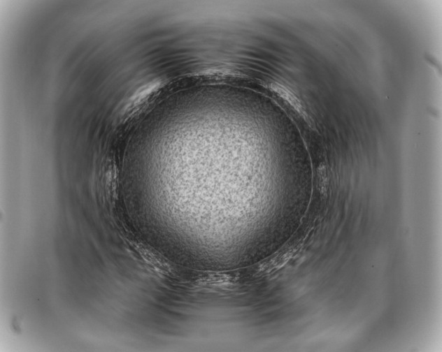 X0000096981111200802221427