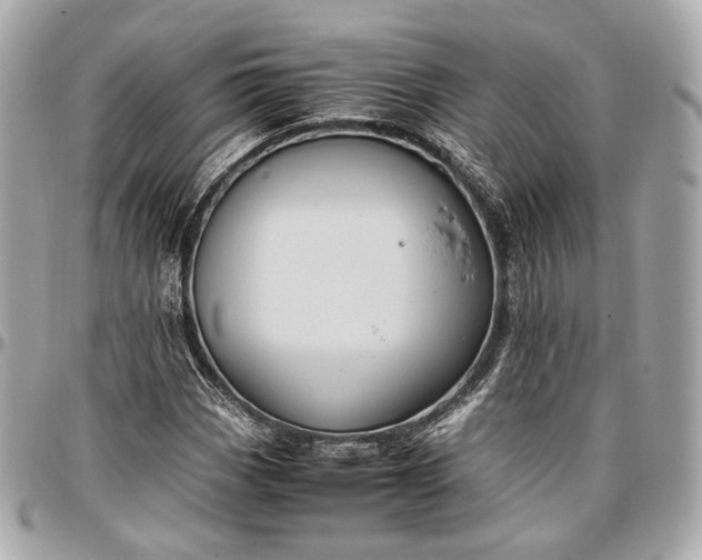 X0000096981113200802221427