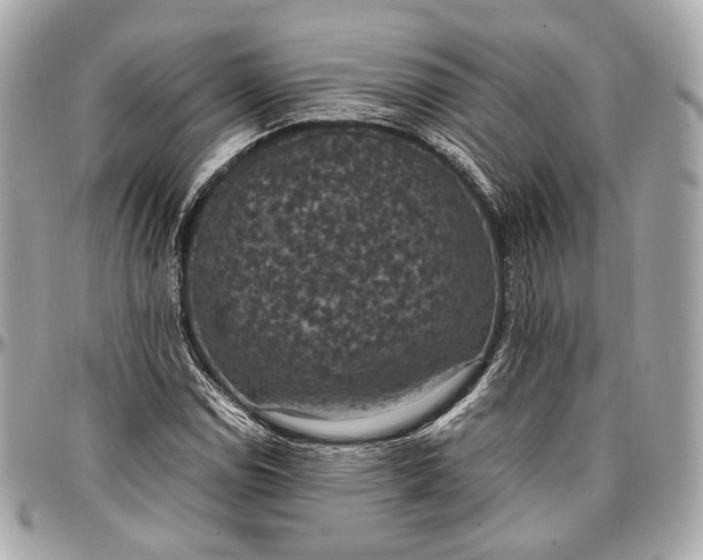 X0000096981114200802221427