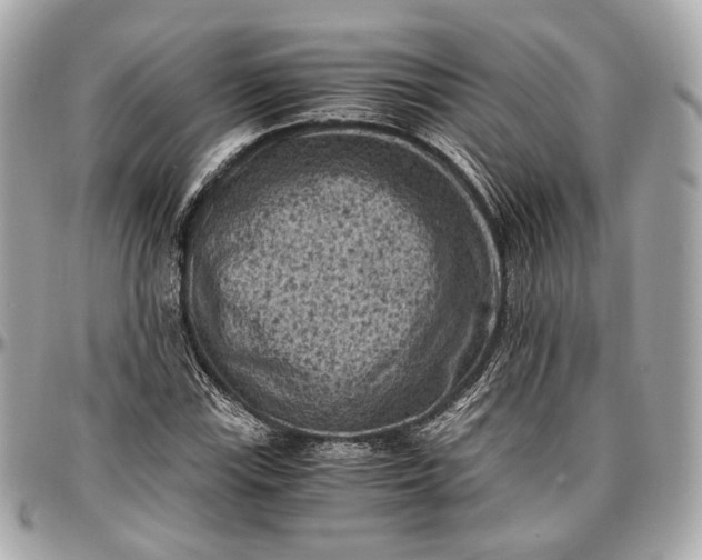 X0000096981115200802221427