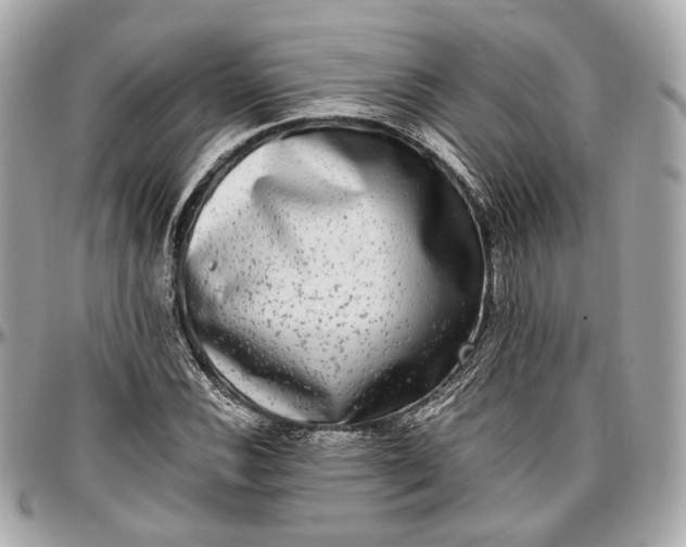 X0000096981116200802221427