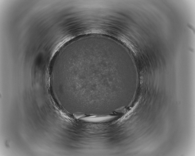 X0000096981117200802221427