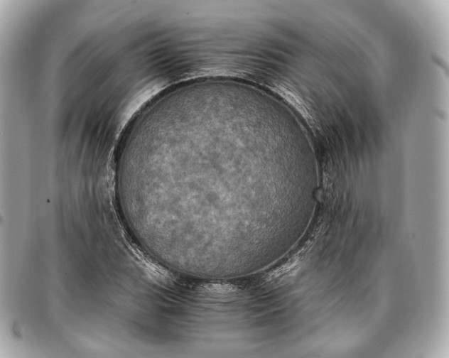 X0000096981119200802221427