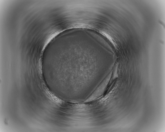 X0000096981120200802221427