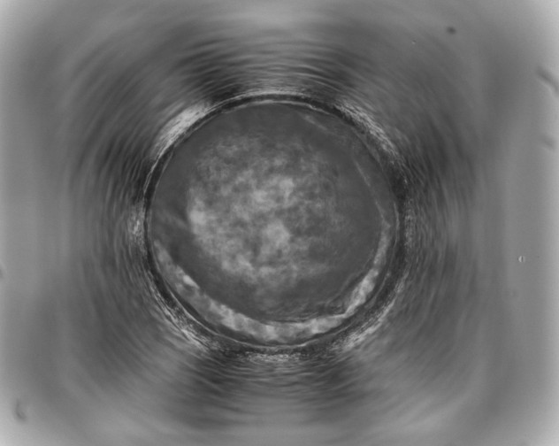 X0000096981121200802221427