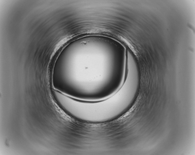 X0000096981122200802221427