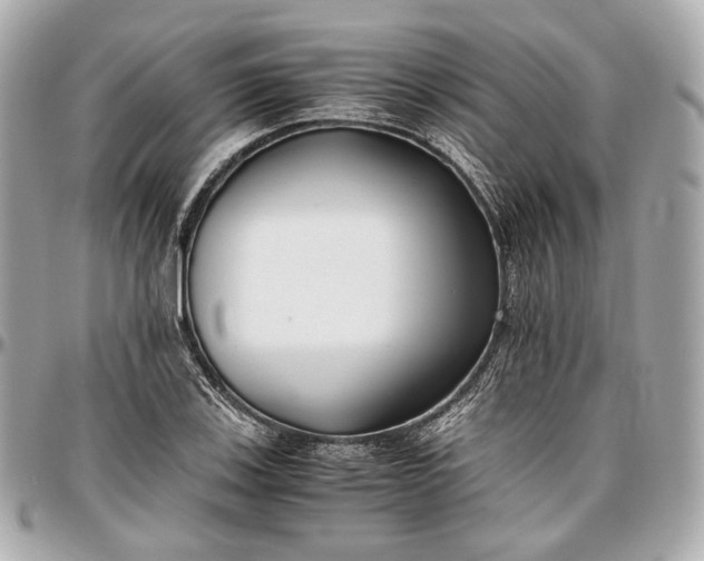 X0000096981123200802221427