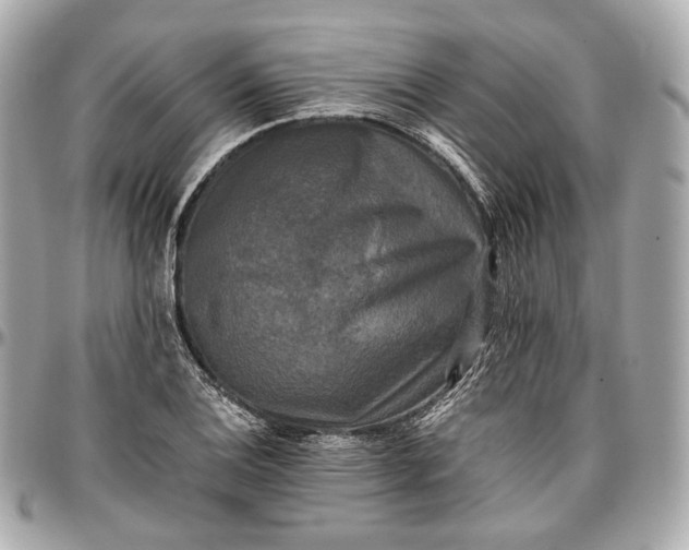 X0000096981124200802221428