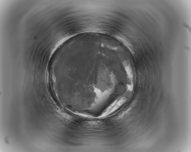 X0000096981125200802221428