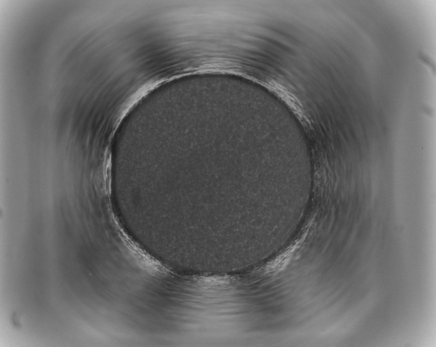 X0000096981126200802221428