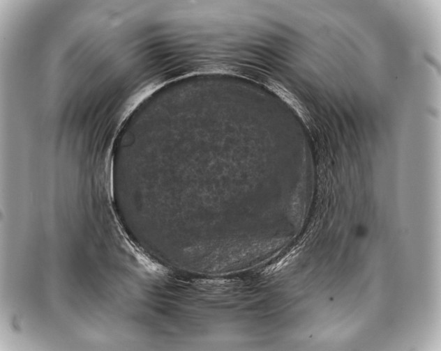 X0000096981127200802221428