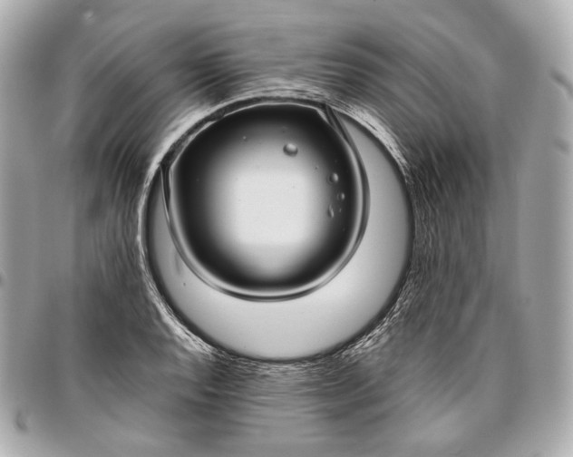 X0000096981128200802221428