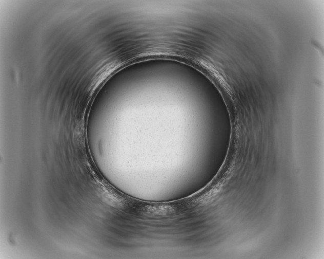 X0000096981129200802221428