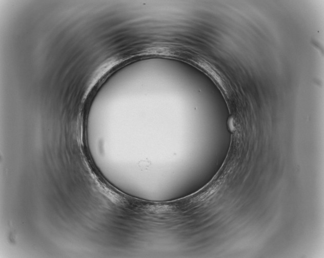 X0000096981131200802221428