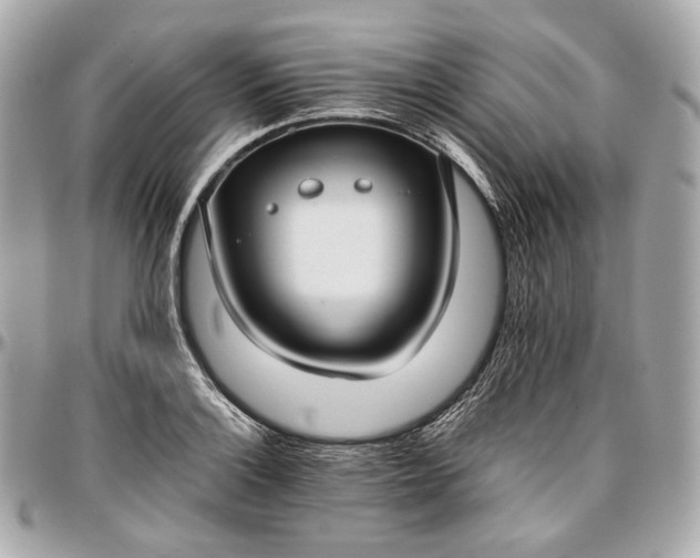 X0000096981132200802221428