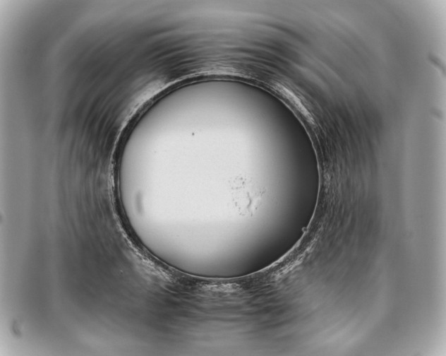 X0000096981133200802221428