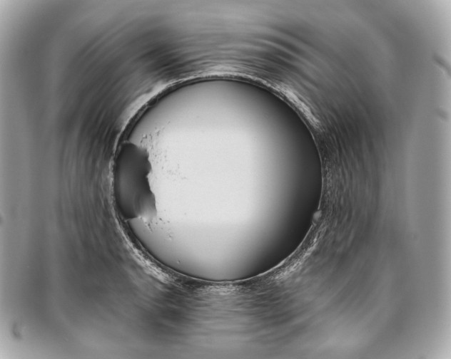 X0000096981134200802221428