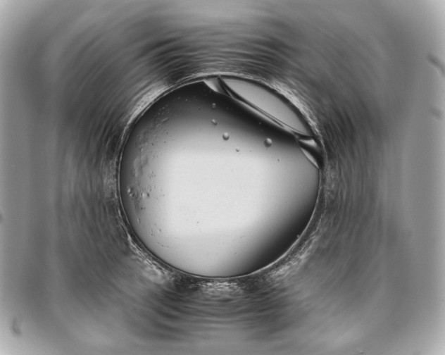 X0000096981137200802221428