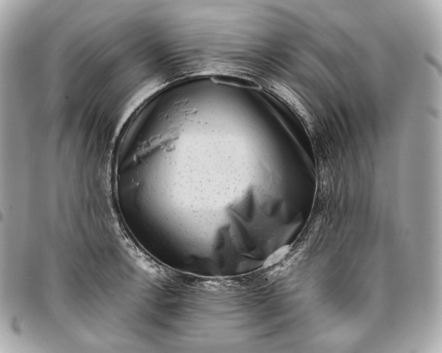 X0000096981138200802221428