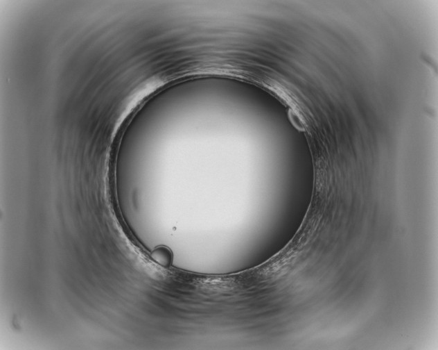 X0000096981139200802221428