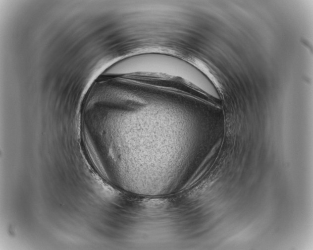 X0000096981140200802221428