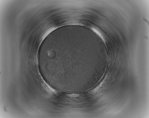 X0000096981141200802221428