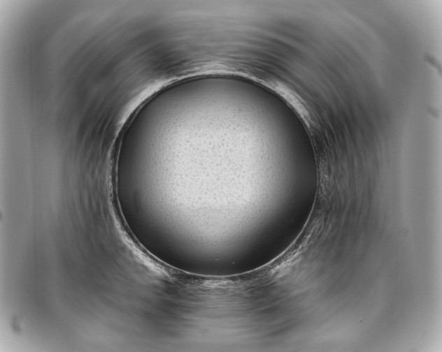 X0000096981142200802221428