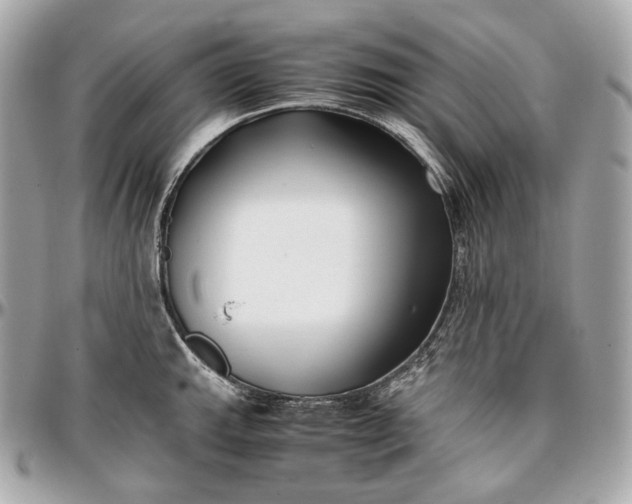 X0000096981143200802221428