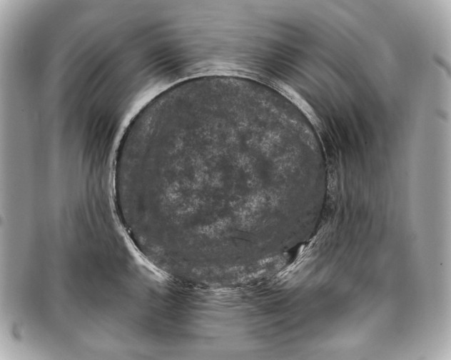 X0000096981144200802221428