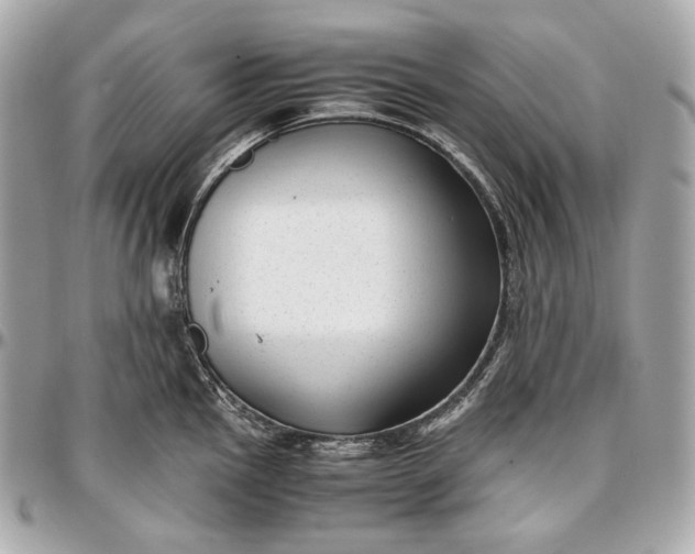 X0000096981145200802221428