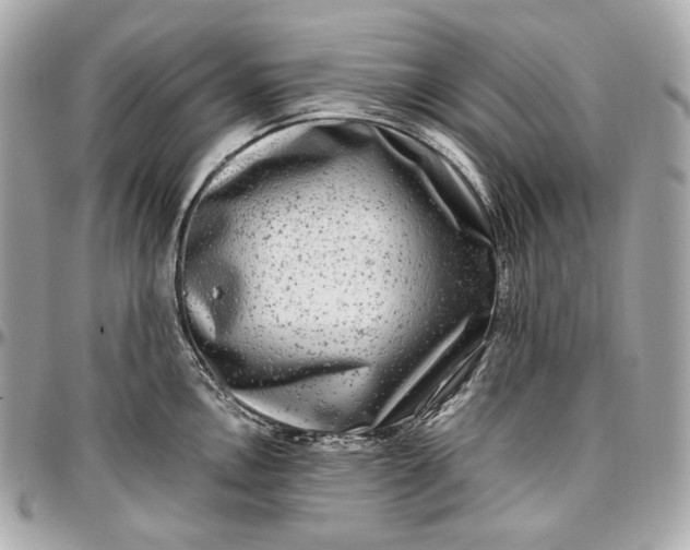 X0000096981146200802221428