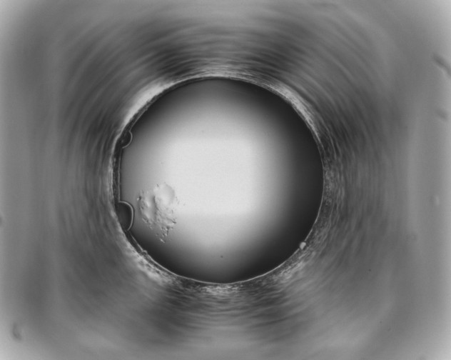 X0000096981147200802221428