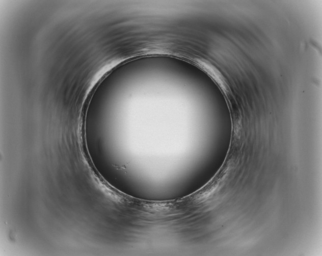 X0000096981149200802221428