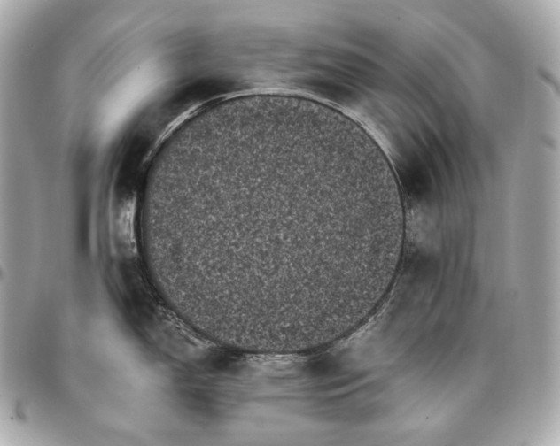 X0000096981150200802221428