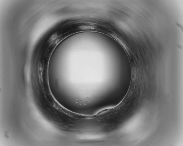 X0000096981151200802221428