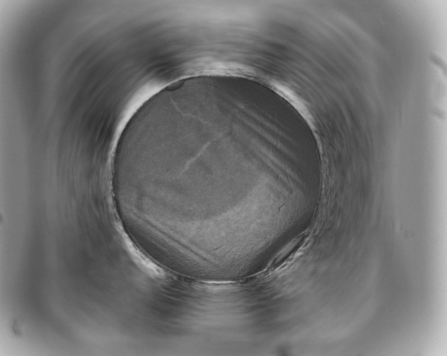 X0000096981152200802221428