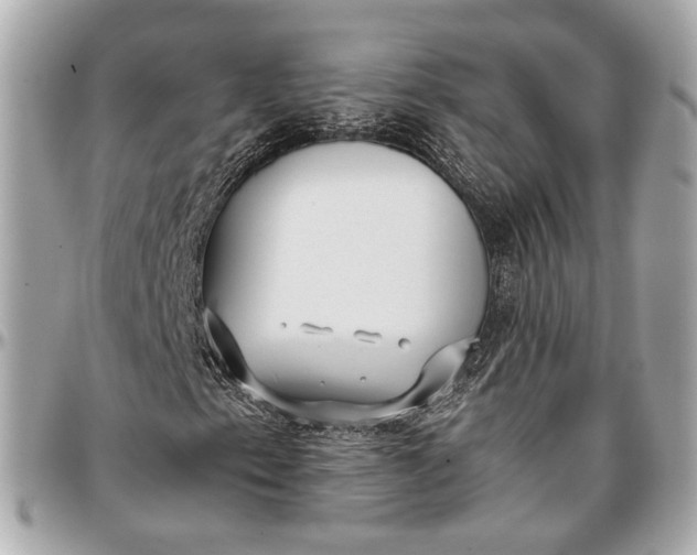 X0000096981153200802221427