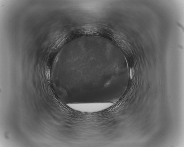 X0000096981155200802221427