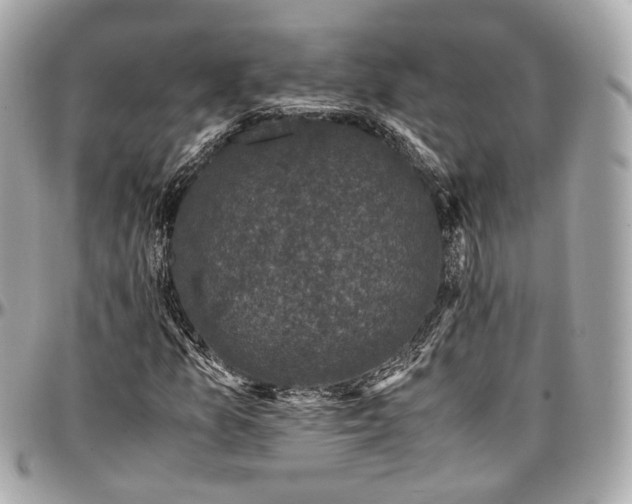 X0000096981157200802221427