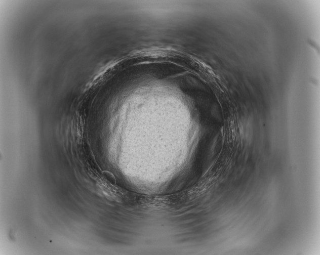 X0000096981158200802221427