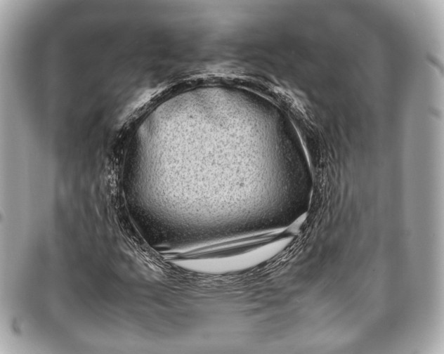 X0000096981159200802221427