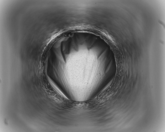 X0000096981160200802221427