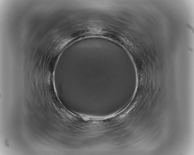 X0000096981161200802221427