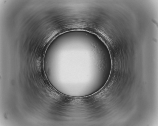 X0000096981162200802221427