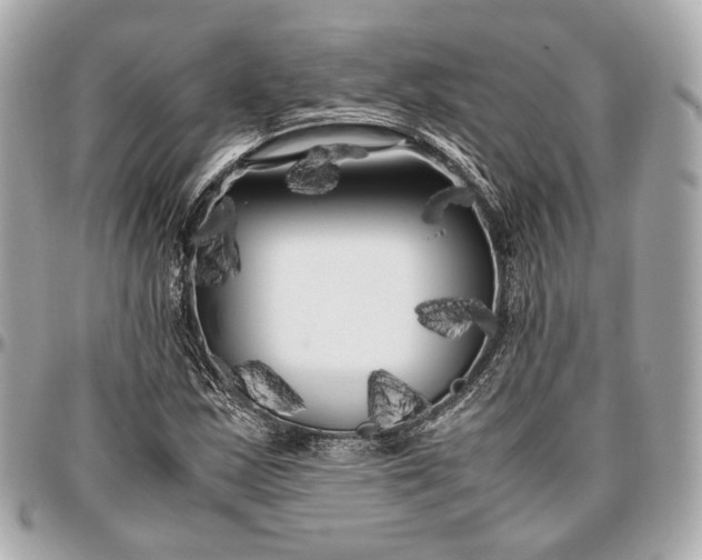 X0000096981163200802221427