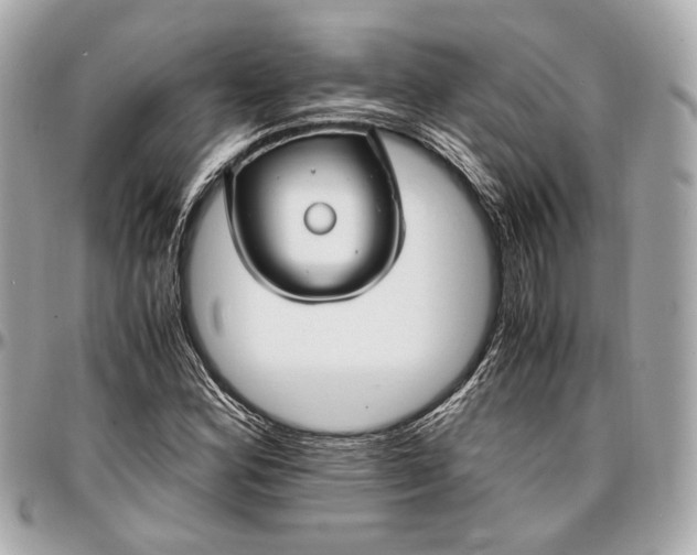 X0000096981164200802221427