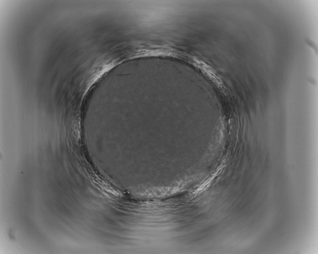 X0000096981165200802221427