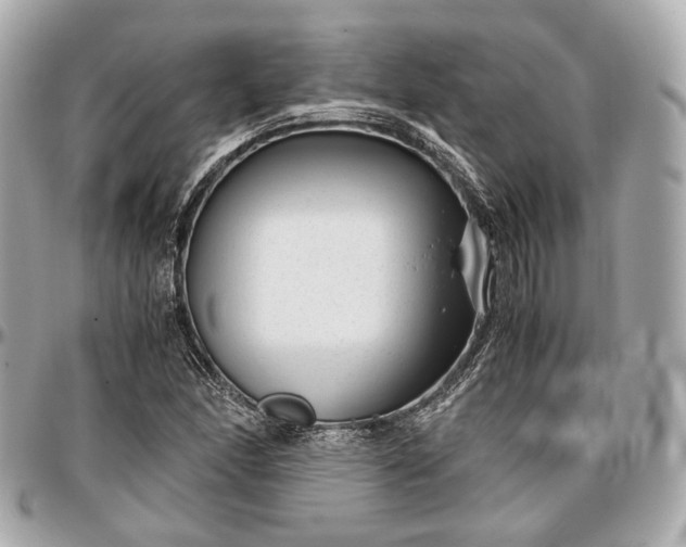 X0000096981166200802221427